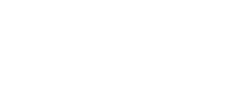 Blue Ridge Consulting Group